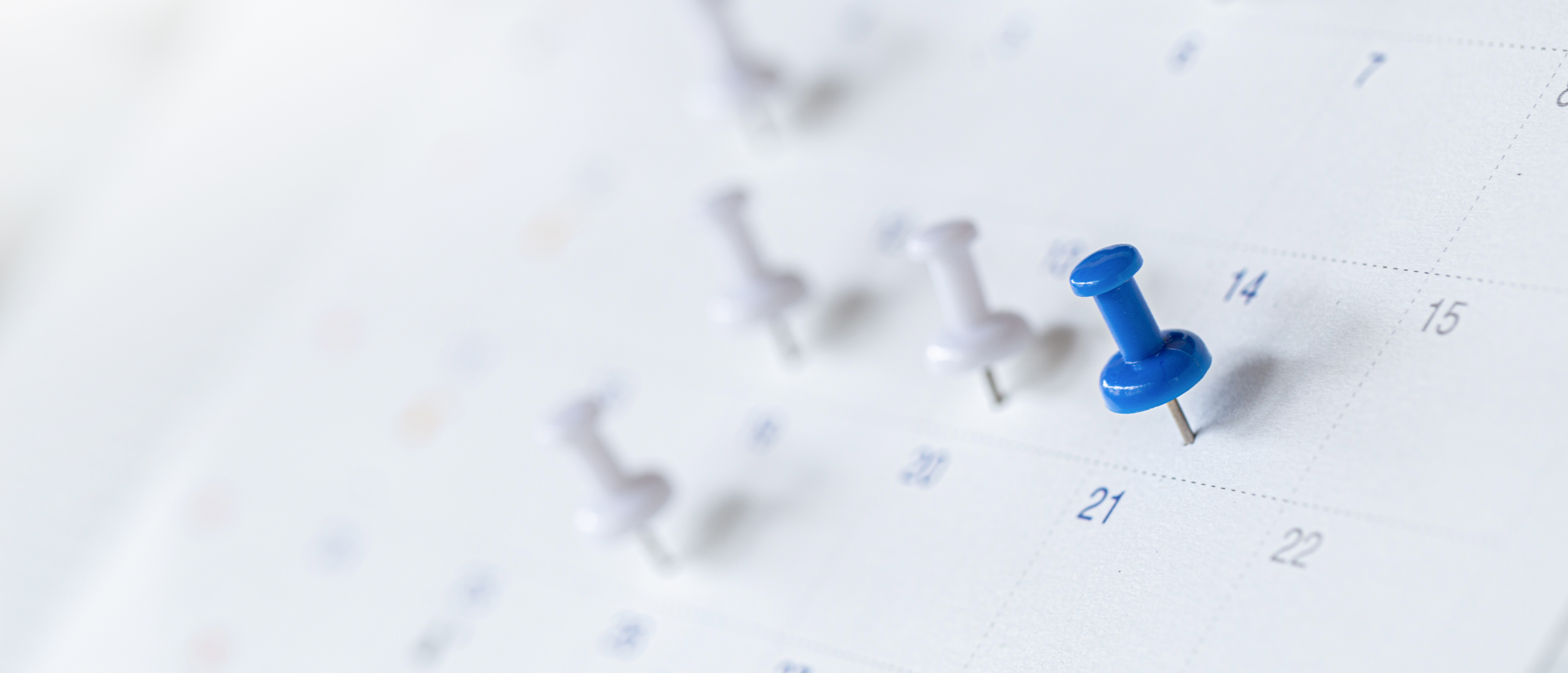 Close up photo of calendar with pins